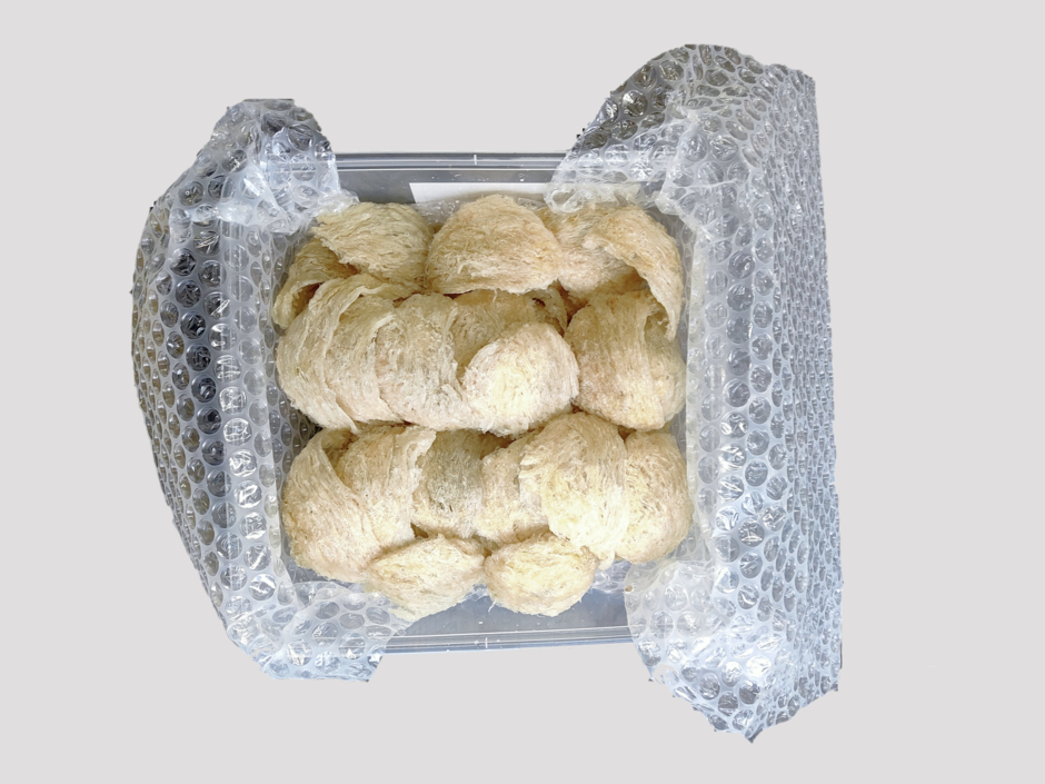 燕の巣 加水品500g 中身